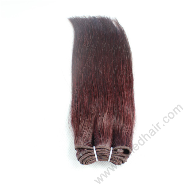 20 inch hair extensions 99j color